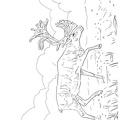 Reindeer / Caribou Coloring Book Page