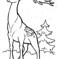 Reindeer_Caribou_Coloring_Pages_022.jpg