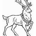 Reindeer_Caribou_Coloring_Pages_027.jpg