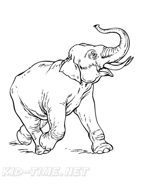 Baby_Elephant_Coloring_Pages_028.jpg