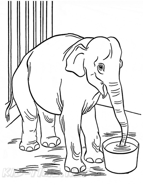 Baby_Elephant_Coloring_Pages_044.jpg