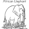 Elephant Coloring Book Page