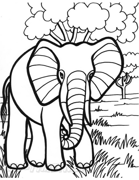 Elephant_Coloring_Pages_025.jpg