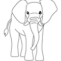 Elephant_Coloring_Pages_146.jpg