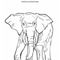 Elephant_Coloring_Pages_199.jpg