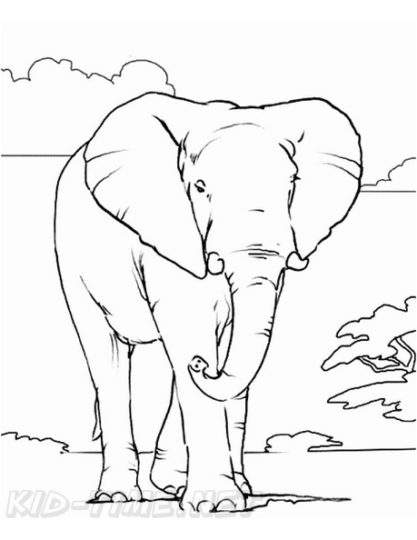 Realistic_Elephant_Coloring_Pages_002.jpg
