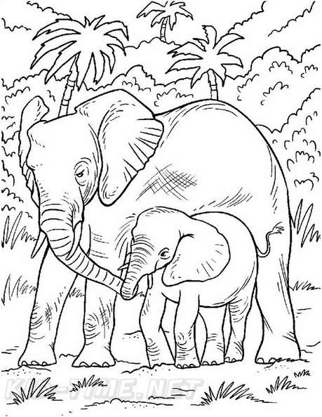 detailed elephant coloring pages