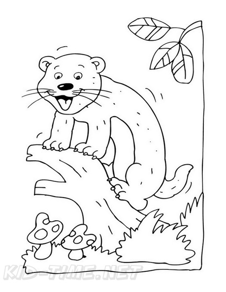 Ferret_Coloring_Pages_009.jpg