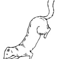 Ferret_Coloring_Pages_014.jpg