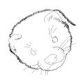 Ferret_Coloring_Pages_017.jpg