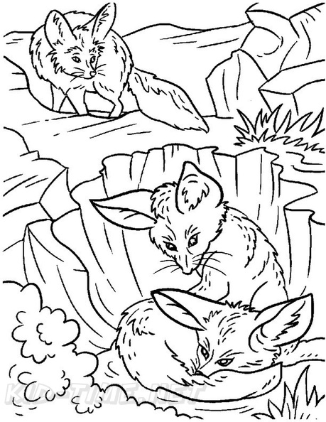 Fox_Coloring_Pages_021.jpg