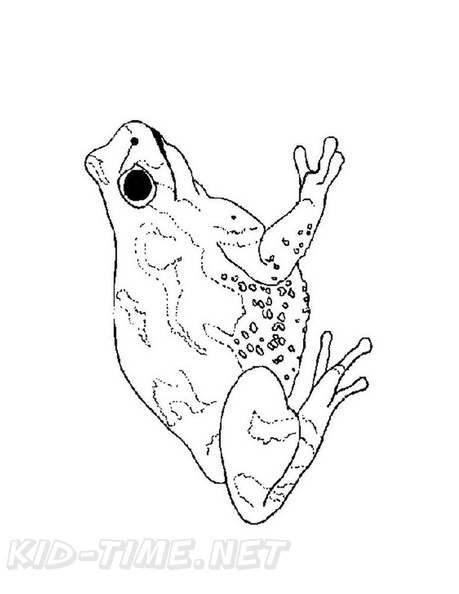 Frogs_Coloring_Pages_042.jpg