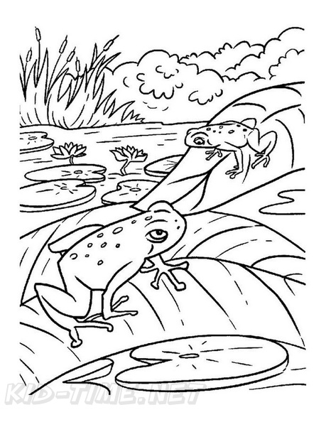 Frogs_Coloring_Pages_071.jpg