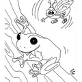 Frogs_Coloring_Pages_202.jpg