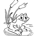 Frogs_Coloring_Pages_228.jpg