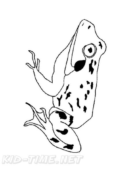 Frogs_Coloring_Pages_247.jpg