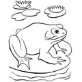 Frogs_Coloring_Pages_284.jpg