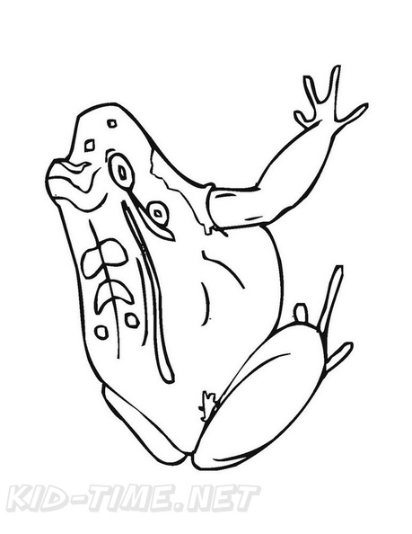 Frogs_Coloring_Pages_304.jpg
