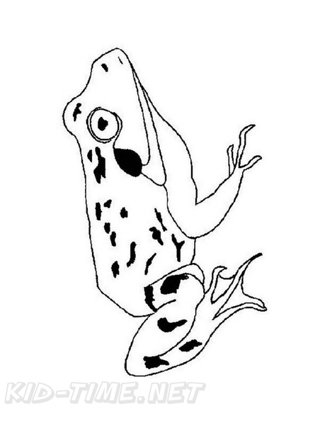 Realistic_Frog_Coloring_Pages_011.jpg