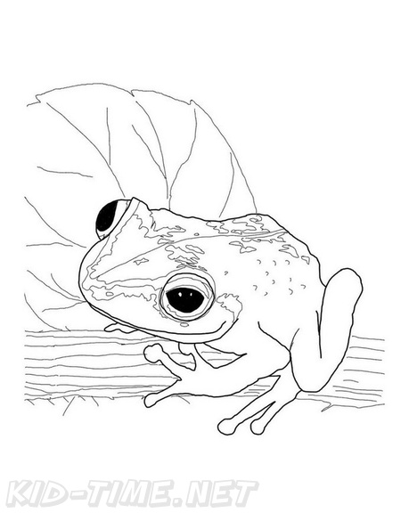 Realistic_Frog_Coloring_Pages_015.jpg
