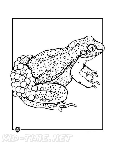 Realistic_Frog_Coloring_Pages_025.jpg