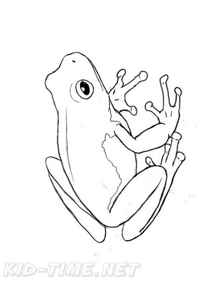 Realistic_Frog_Coloring_Pages_026.jpg