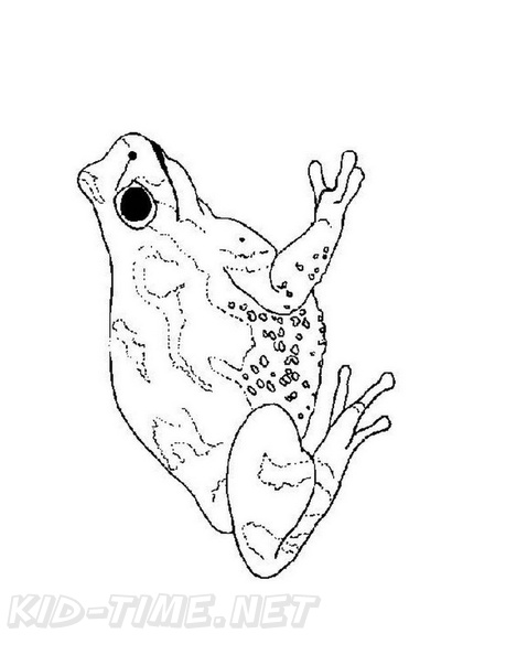 Realistic_Frog_Coloring_Pages_033.jpg