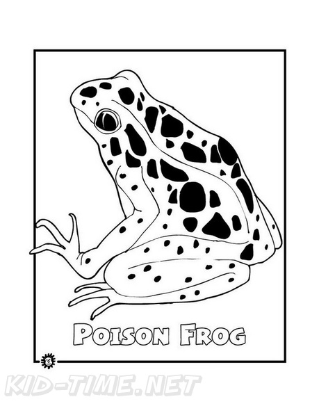 Realistic_Frog_Coloring_Pages_046.jpg