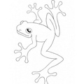 Realistic_Frog_Coloring_Pages_051.jpg