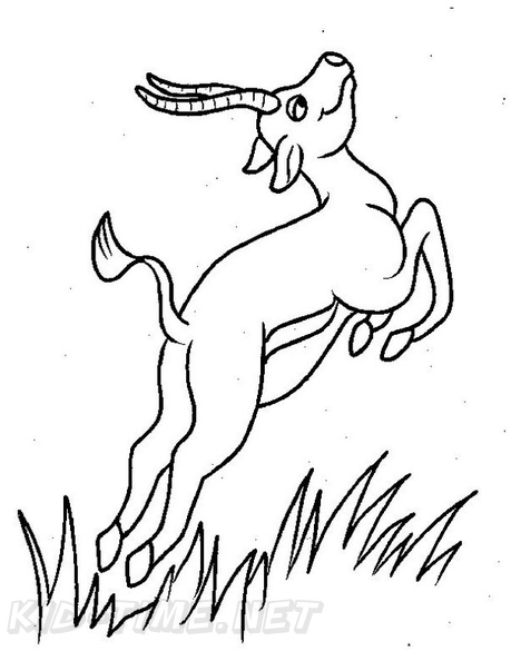 Gazelle_Coloring_Pages_006.jpg