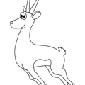 Gazelle_Coloring_Pages_010.jpg