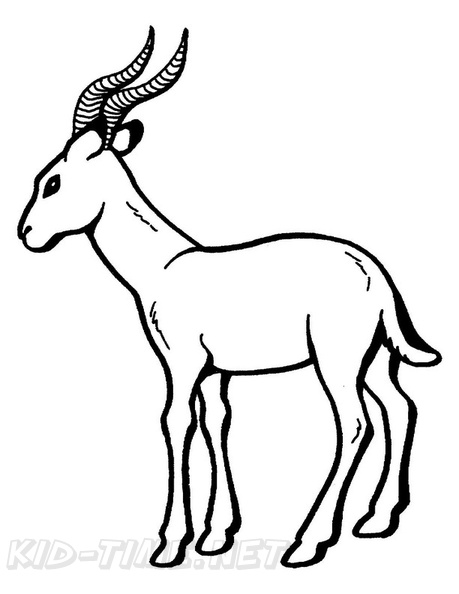 Gazelle_Coloring_Pages_015.jpg