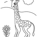 Baby_Giraffe_Coloring_Pages_006.jpg