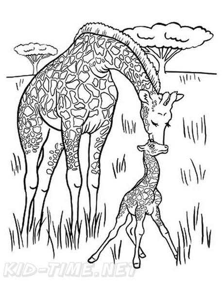 Baby_Giraffe_Coloring_Pages_011.jpg