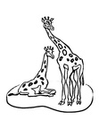 Baby Giraffe Coloring Book Pages