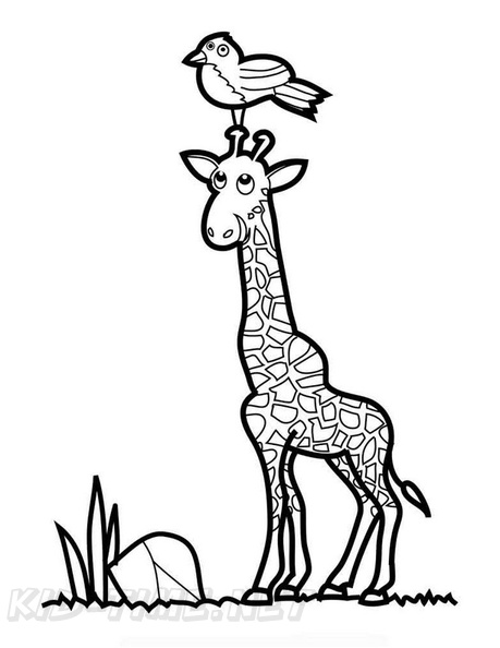 Giraffe_Coloring_Pages_072.jpg