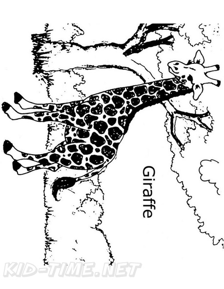 Giraffe_Coloring_Pages_092.jpg