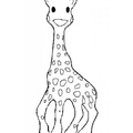 Giraffe_Coloring_Pages_100.jpg