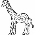 Giraffe_Coloring_Pages_101.jpg