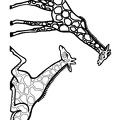 Giraffe_Coloring_Pages_128.jpg