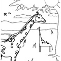 Giraffe_Coloring_Pages_154.jpg