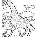 Giraffe_Coloring_Pages_162.jpg