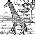 Giraffe_Coloring_Pages_215.jpg