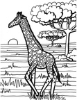 Giraffe Coloring Book Page