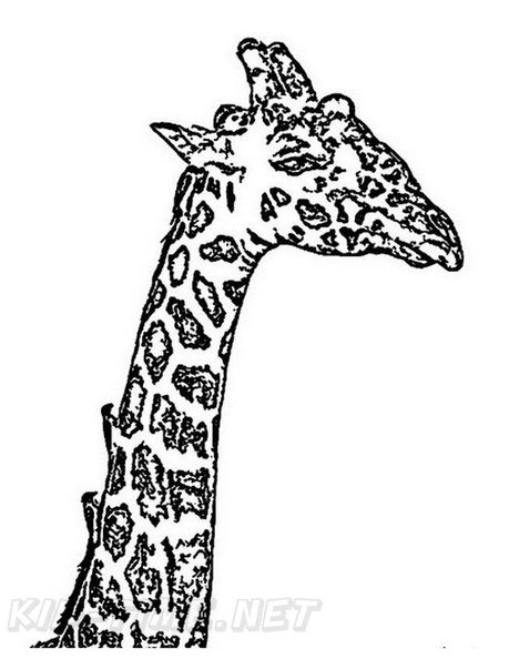 Giraffe_Coloring_Pages_254.jpg
