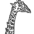 Giraffe_Coloring_Pages_254.jpg