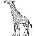 Giraffe_Coloring_Pages_261.jpg