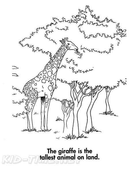 Giraffe_Coloring_Pages_266.jpg