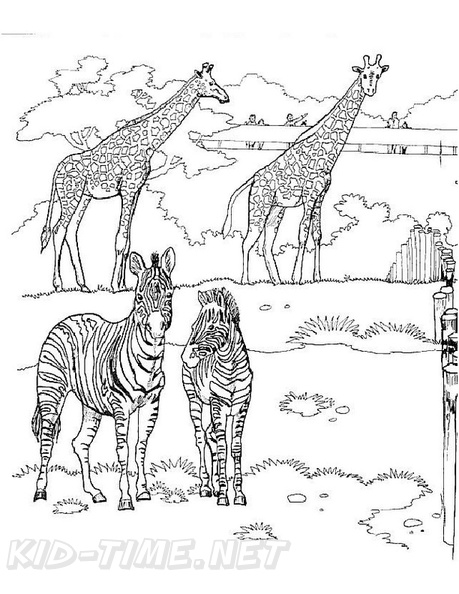 Realistic_Giraffe_Coloring_Pages_014.jpg