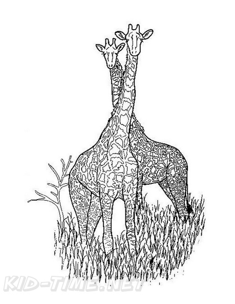 Realistic_Giraffe_Coloring_Pages_018.jpg